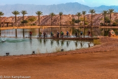 Timna-Park-6
